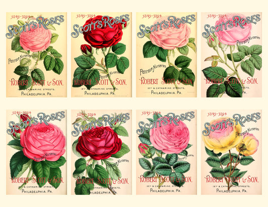 Scotts Vintage Rose Seed Packs Collage Sheet