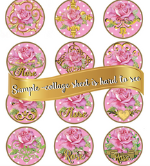 Beautiful Pink Rose & Gold Collage Sheet