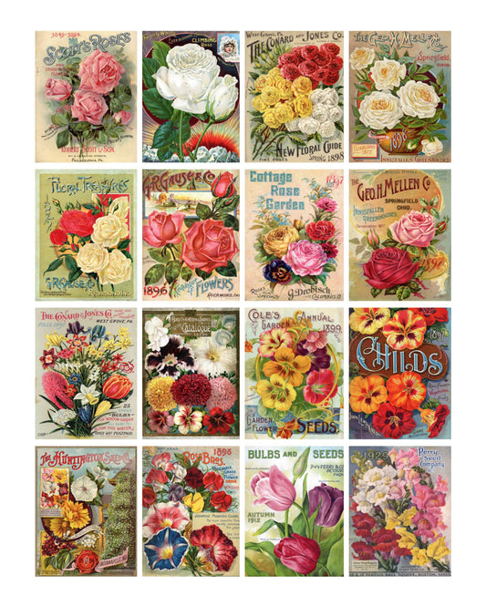 Seed Packs #2 Collage Sheet 8x10 Print