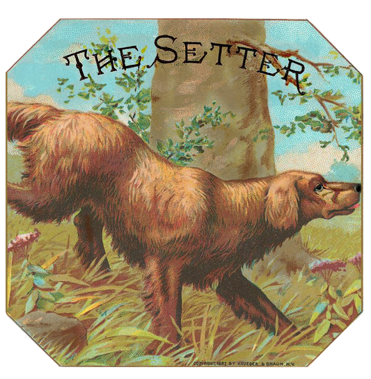 The Setter - Vintage Label
