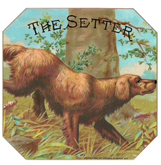 The Setter - Vintage Label