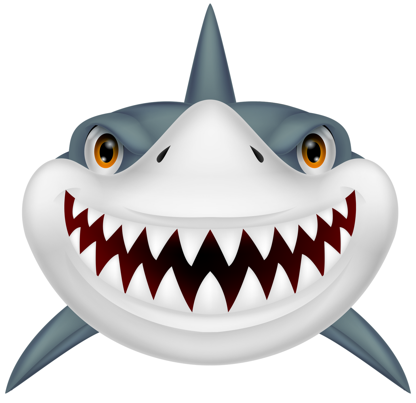 Shark Shark Cartoon