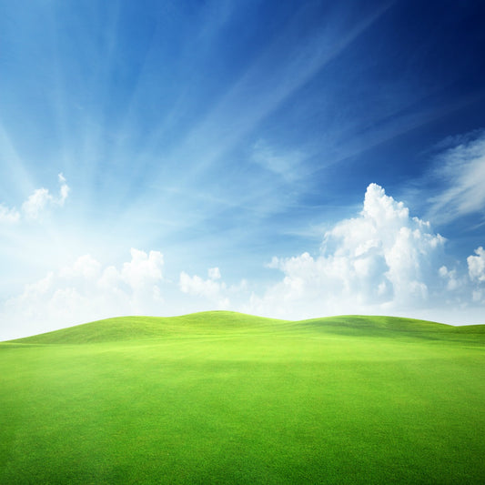 Sky & Grass Background 12x12