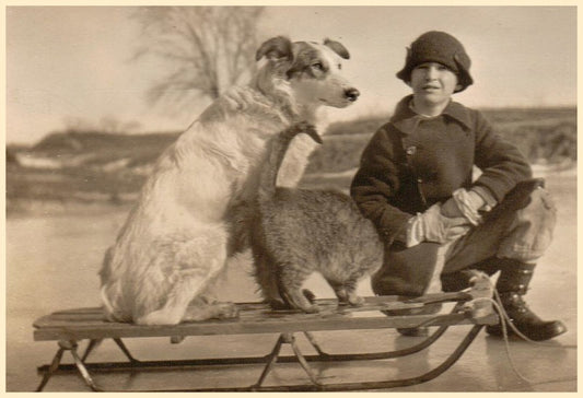 Vintage Sled  - Sleigh Ride with Boy, Cat & Dog