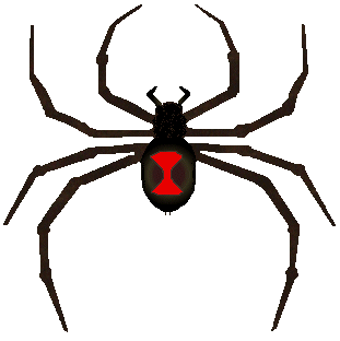 Spiders & Spider web - cobweb bundle
