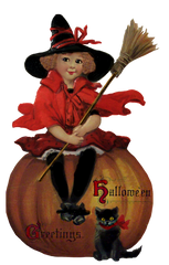 Sweet Little Witch sitting on a Pumpkin with broom and cat