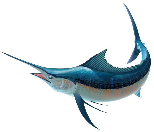 Blue Swordfish