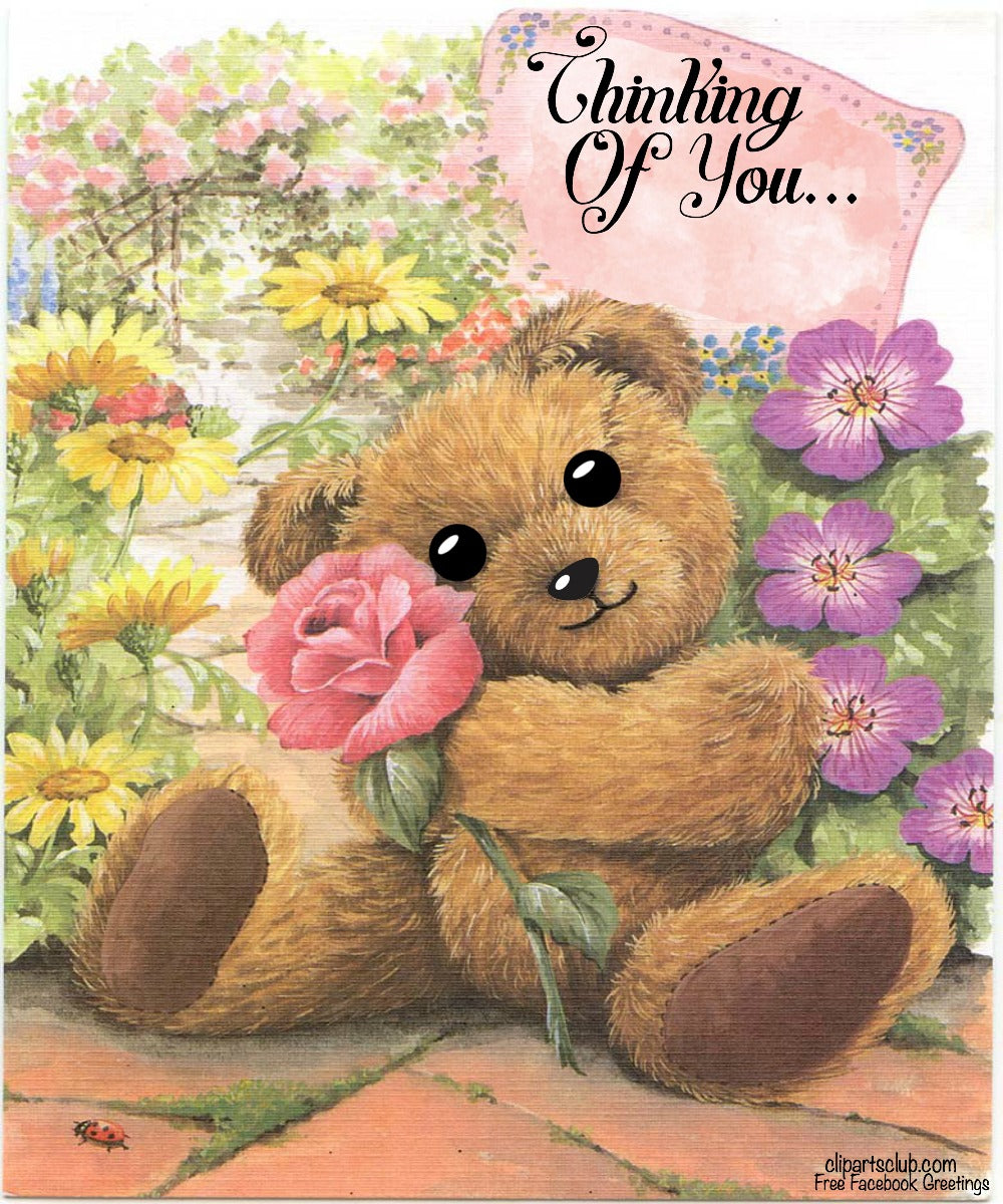Teddy Bear "Thinking of You" Facebook Greeting