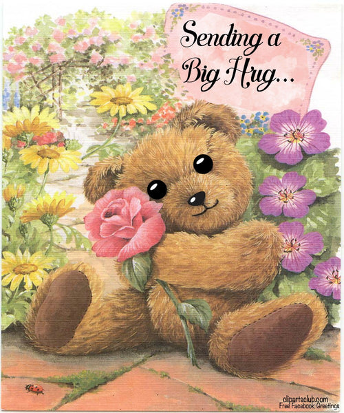 Teddy Bear "Sending a big HUG" Facebook Greeting