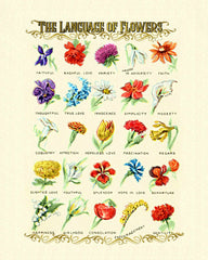 The Language of Flowers 8x10 Printable Ready to Frame