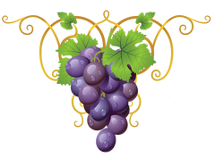 Beautiful Grapes - Grapevine & Gold Flourish