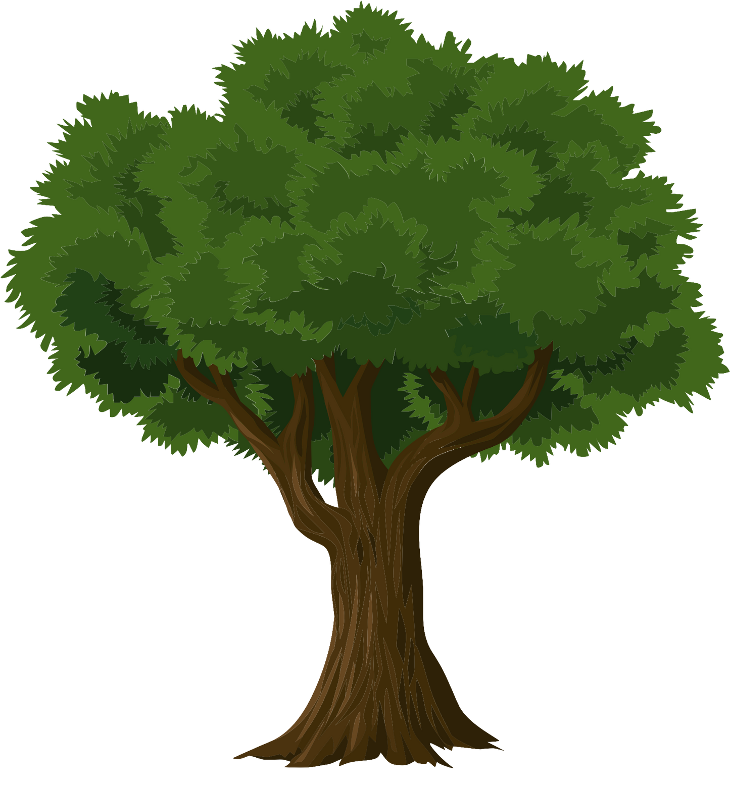 Green Tree Brown Trunk