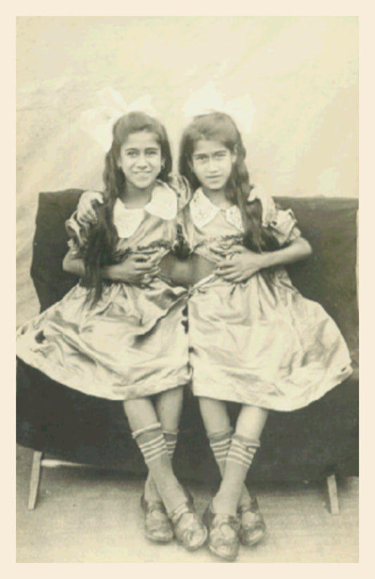 Beautiful Twin Sisters in Dresses with Long Dark Hair Antique Vintage Photo