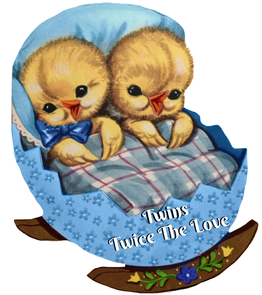 Twin Baby BOY Chicks in a Cradle- Vintage