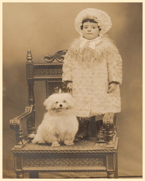 Vintage Toddler Girl & Her Poodle