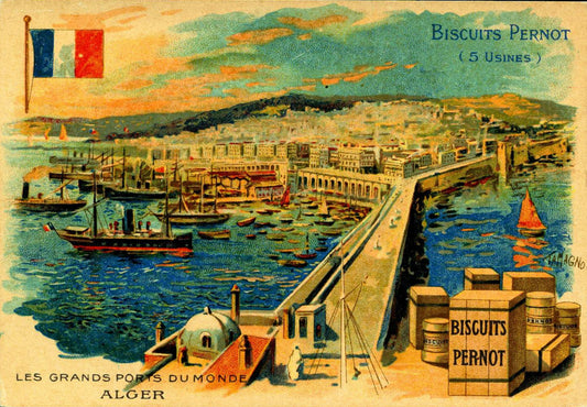 Alger Port - Vintage Postcard