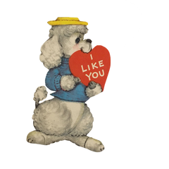 Vintage White Poodle with Heart