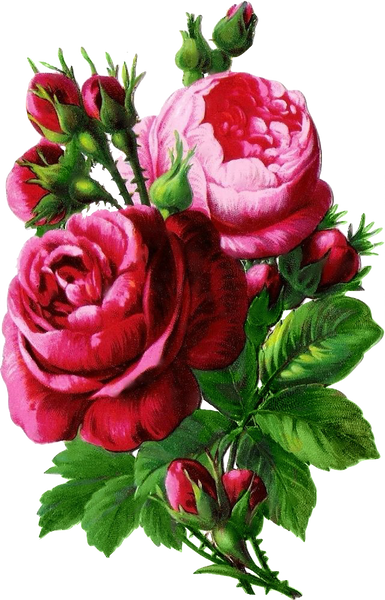 Vintage  Antique Victorian Rose Bouquet - Red - Pink