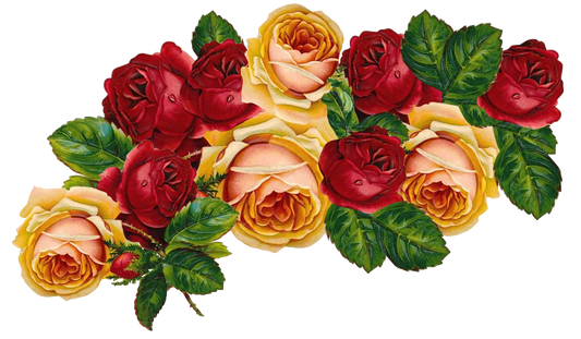 Beautiful Vintage Rose Swag