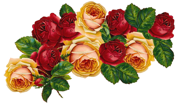 Vintage Roses Set