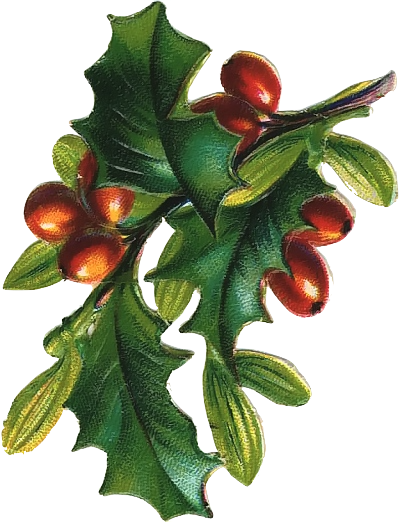 Christmas Ivy Bundle - Vintage Mistletoe - Holly - Ivy Clip Art