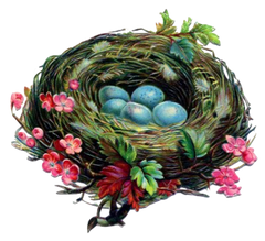 Vintage Bird Nest with Eggs