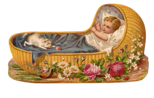Vintage Baby cradle with baby boy playing with his cat - Victorian era