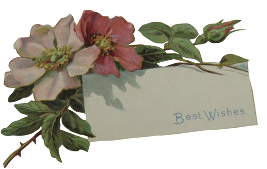 Vintage Roses - Best Wishes 2 images Jpg or Png Transparent background