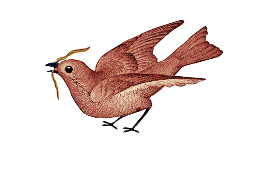 Vintage Brown Bird with Worm
