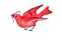 Vintage Red Bird with Worm