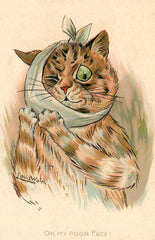 Vintage Funny Cat Postcard "Oh My Face!"