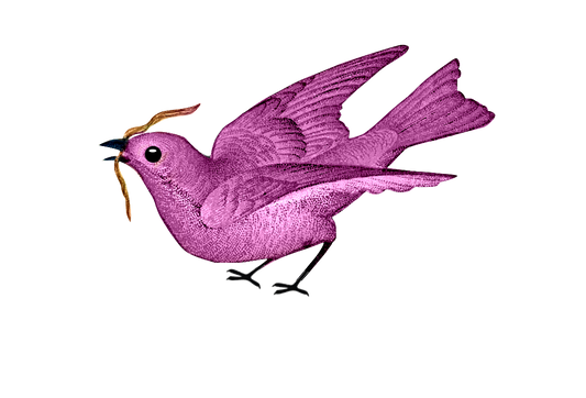 Vintage Lavender Purple Bird with Worm