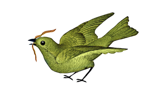 Vintage Green Bird with Worm