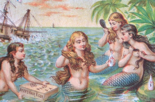 Mermaids - Vintage Postcard