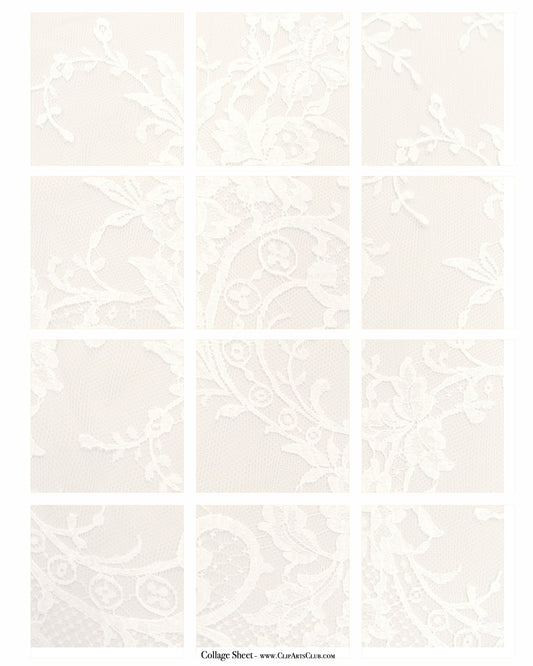 Beautiful  Vintage Lace background Collage Sheet Blank