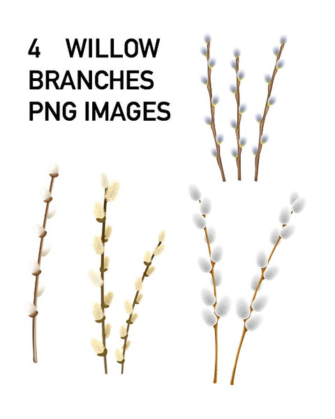 4 WILLOW BRANCHES PNG images