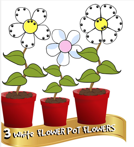 3  White Flower Pot Flowers