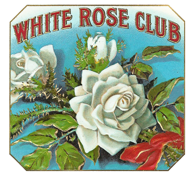 White Rose Club Cigar Vintage Label
