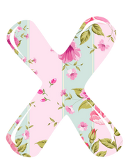 Letter X  Beautiful Letter in Deb's Shabby Chic Pink Roses