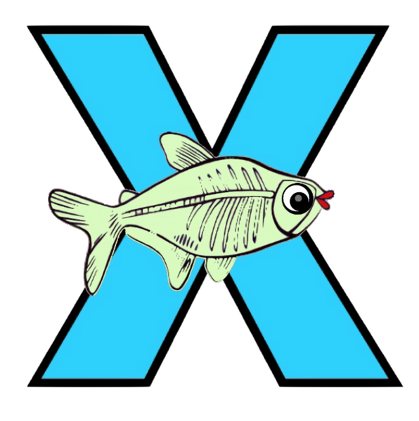 X Letter - X-Ray Fish PNG format