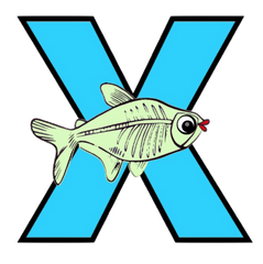 X Letter - X-Ray Fish PNG format