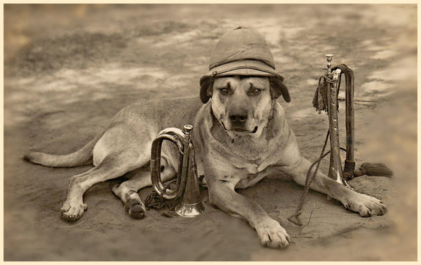 War Dog - Vintage Photo