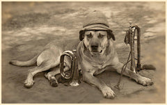 War Dog - Vintage Photo