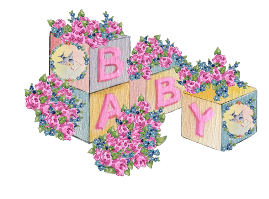 Baby Blocks and Roses
