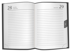 Journal or Business Planner Calendar Book Open Pages for writing