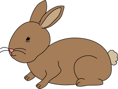 Easter Bunny Rabbit Brown