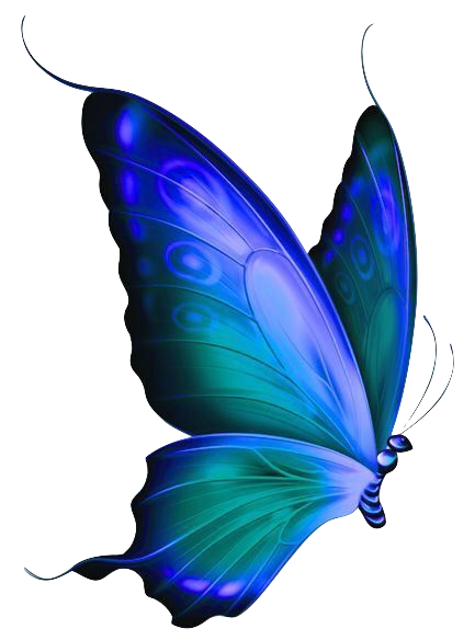 Beautiful Blue Butterfly