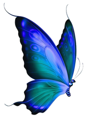 Beautiful Blue Butterfly