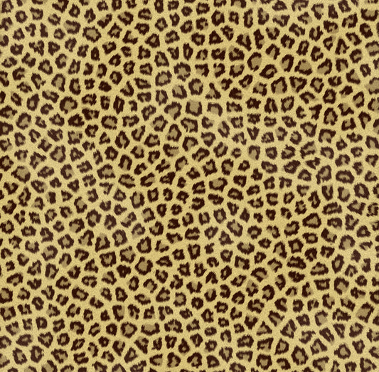 Cheetah Fur #2 12X12 Background