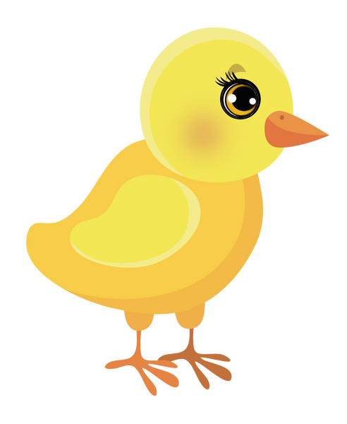 Chick - Baby Chick